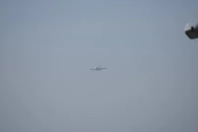 DSC_9583 (Large).JPG